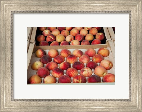 Framed Peaches at a market stall, Lourmarin, Vaucluse, Provence-Alpes-Cote d&#39;Azur, France Print