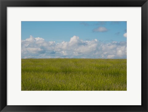 Framed Lavender Field, France Print