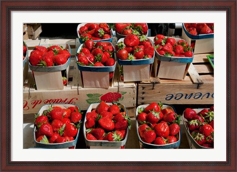 Framed Strawberries for sale at weekly market, Arles, Bouches-Du-Rhone, Provence-Alpes-Cote d&#39;Azur, France Print