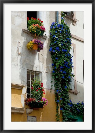 Framed Building with flower pots on each window, Rue Des Arenes, Arles, Bouches-Du-Rhone, Provence-Alpes-Cote d&#39;Azur, France Print