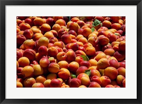 Framed Nectarines for sale at weekly market, St.-Remy-de-Provence, Bouches-Du-Rhone, Provence-Alpes-Cote d&#39;Azur, France Print