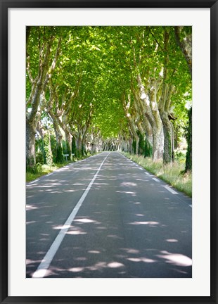 Framed Allee of trees, St.-Remy-De-Provence, Bouches-Du-Rhone, Provence-Alpes-Cote d&#39;Azur, France Print