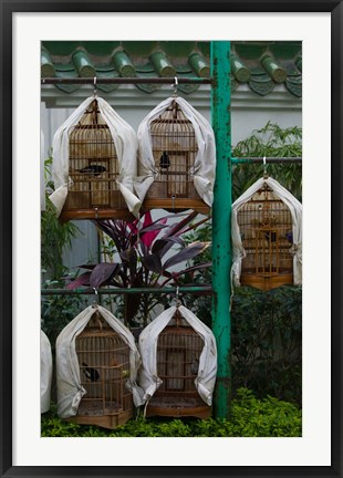 Framed Birds in cages for sale at a bird market, Yuen Po Street Bird Garden, Mong Kok, Kowloon, Hong Kong Print