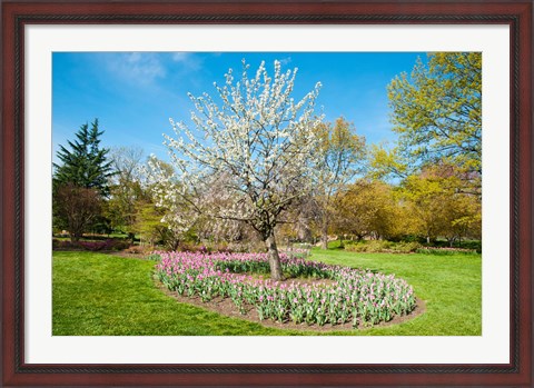 Framed Tree in Sherwood Gardens, Baltimore, Maryland Print