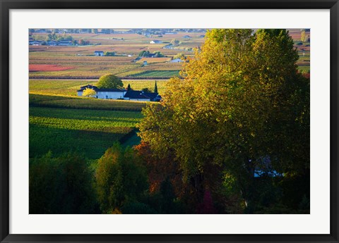 Framed Vineyards, Saint-Emilion, Gironde, Aquitaine, France Print