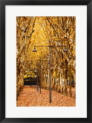 Framed Esplanade des Quinconces park in autumn, Bordeaux, Gironde, Aquitaine, France Print