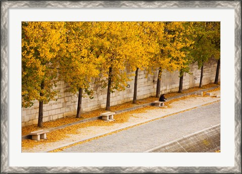 Framed Riverfront, Ile de la Cite, Paris, Ile-de-France, France Print