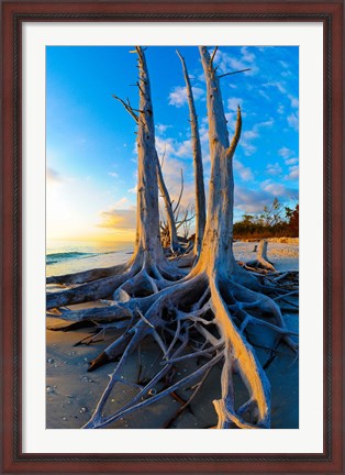 Framed Lovers Key State Park, Lee County, Florida Print