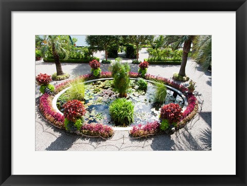 Framed Lily pads in a pond, Isola Madre, Stresa, Lake Maggiore, Italy Print