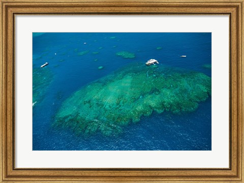 Framed Aerial view of coral reef in the pacific ocean, Great Barrier Reef, Queensland, Australia Print