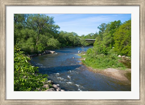 Framed River passing through a forest, Beaver River, Ontario, Canada Print