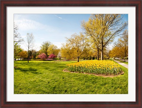 Framed Flowers with trees at Sherwood Gardens, Baltimore, Maryland, USA Print