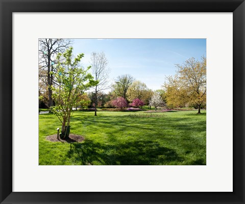 Framed Sherwood Gardens, Baltimore Print