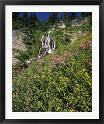 Framed Fireweed at Vidae Falls, Crater Lake National Park, Oregon, USA Print
