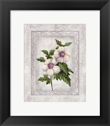 Framed Floral I Print