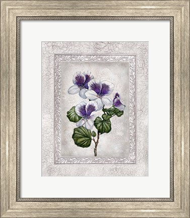 Framed Floral II Print
