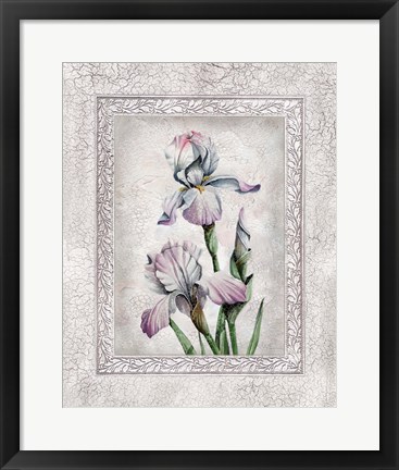Framed Floral IV Print
