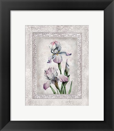 Framed Floral IV Print