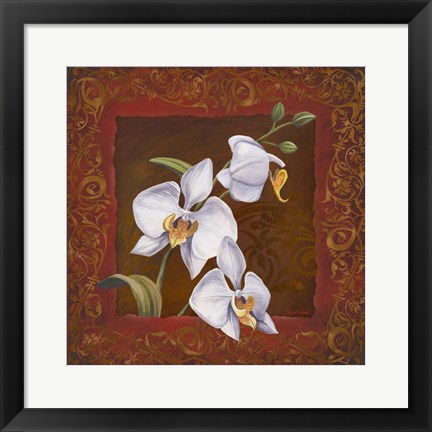 Framed Orchid Study I Print