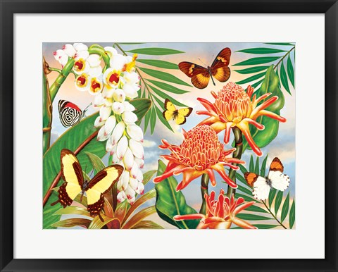 Framed Butterflies With Torch Ginger Print