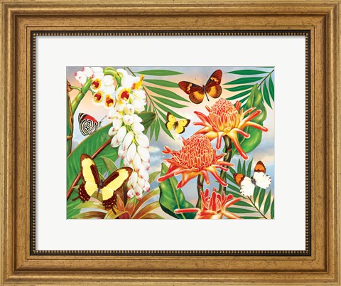 Framed Butterflies With Torch Ginger Print
