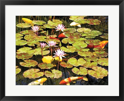 Framed Koi Pond I Print