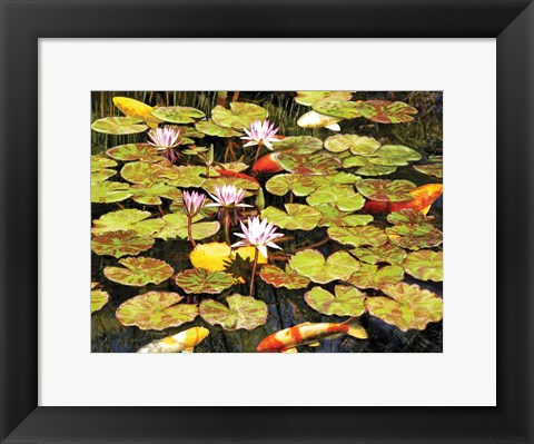 Framed Koi Pond I Print