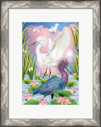 Framed LIttleblue And Snowy Herons Print
