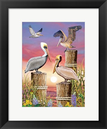 Framed Pelicans-Vertical Print