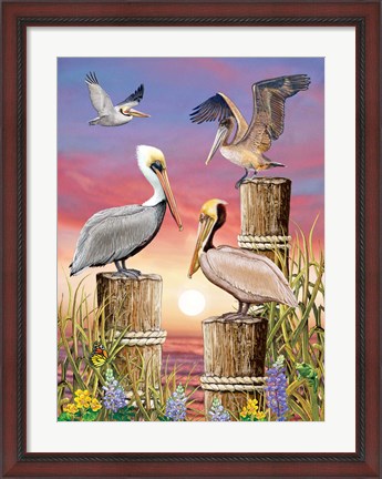 Framed Pelicans-Vertical Print
