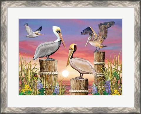 Framed Pelicans Print