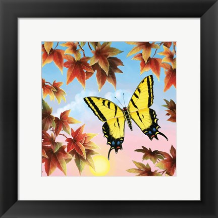 Framed Swallowtail Print