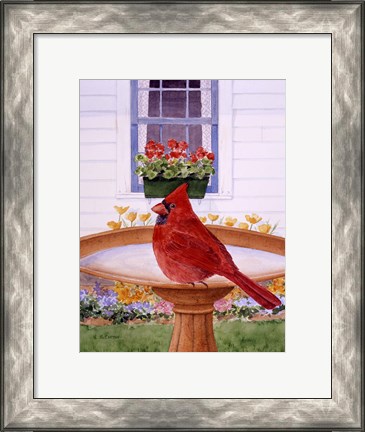 Framed Cardinal And Geraniums Print
