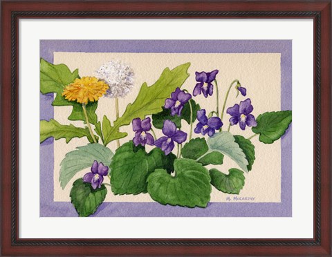 Framed Dandelion And Violets Print