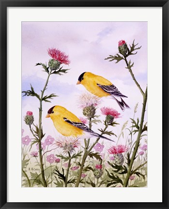 Framed Goldfinch and Thistle Print