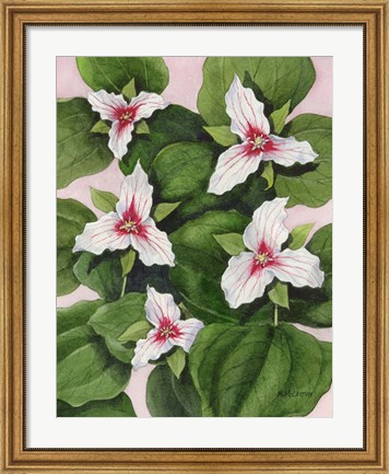 Framed Painted Trillium Print