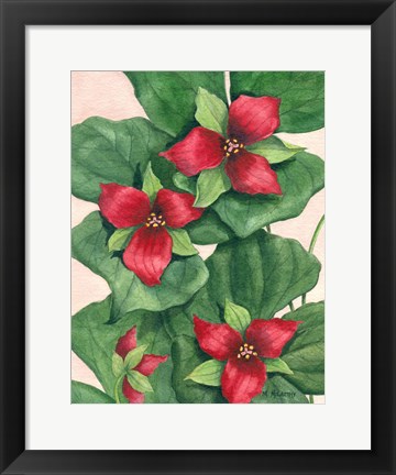 Framed Purple Trillium Print