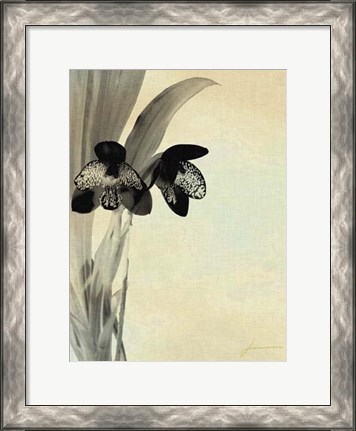 Framed Orchid Blush Panels I Print