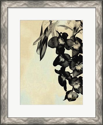 Framed Orchid Blush Panels II Print