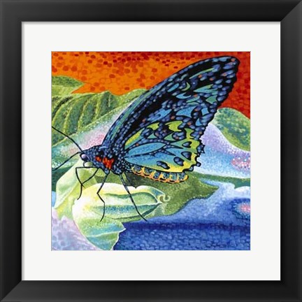 Framed Poised Butterfly II Print