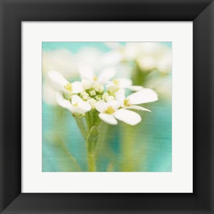 Framed White Flowers I Print