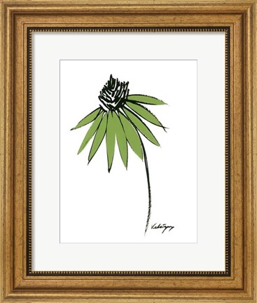 Framed Graphic Cone Flower I Print