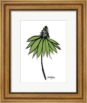 Framed Graphic Cone Flower II Print