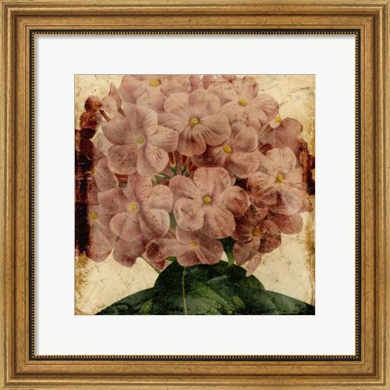 Framed Vibrant Floral IX Print