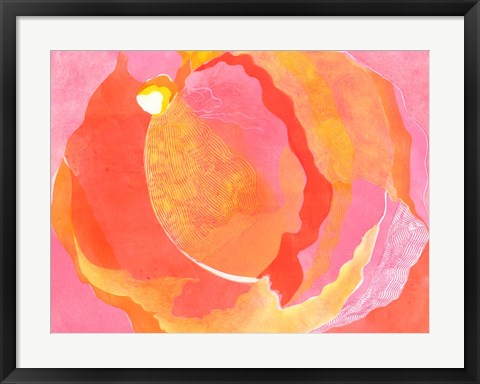 Framed Cabbage Rose I Print