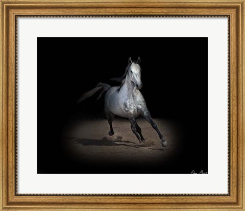 Framed Horse Portrait IX Print