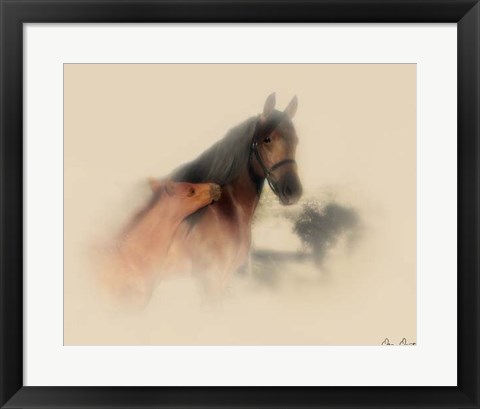 Framed Horse Portrait X Print