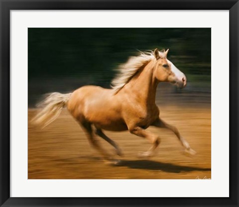 Framed Blazing Horse I Print