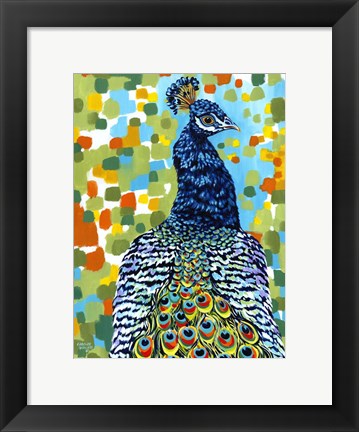 Framed Plumed Peacock II Print