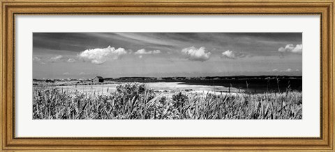 Framed Shore Panorama III Print